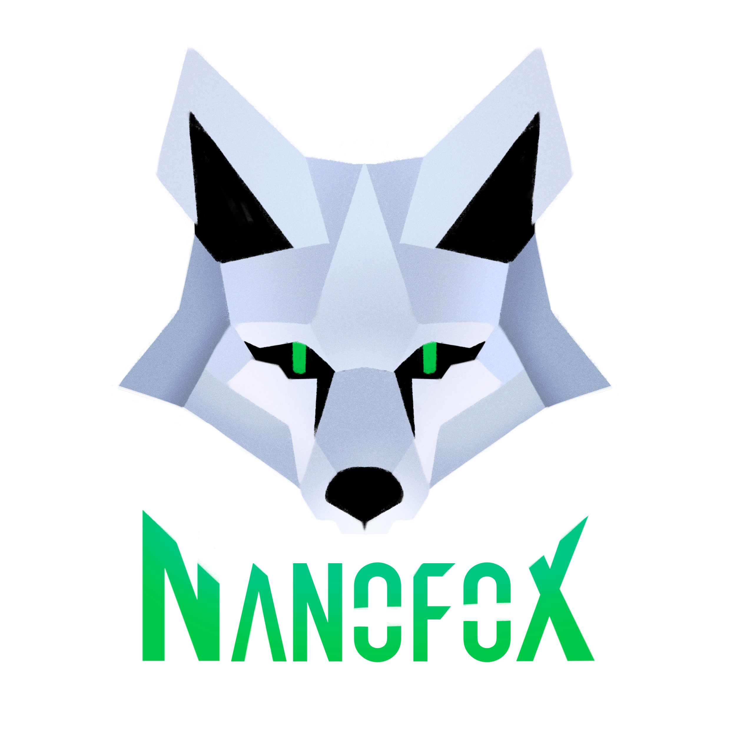 Nanofox Tech Reviews